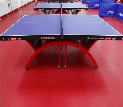威孚運動地板-乒乓球場案例01