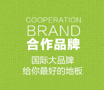 合作伙伴 合作伙伴