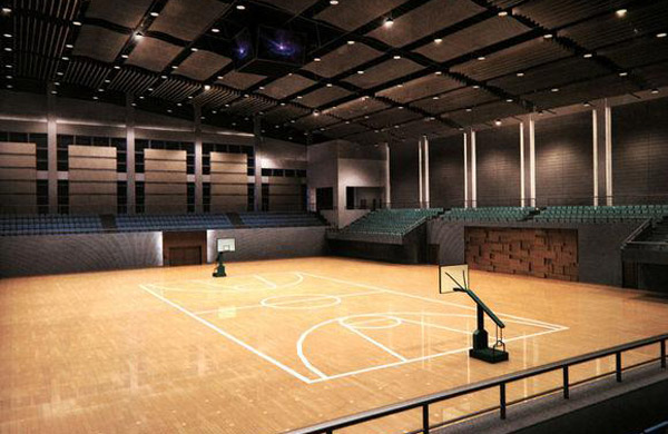 體育運動案例 體育運動案例