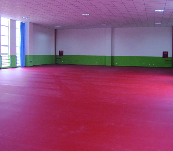 德陽體育館地板 德陽體育館地板
