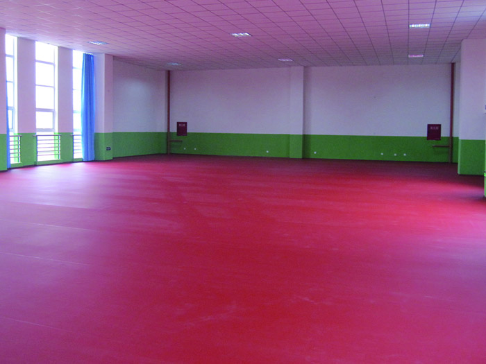 德陽體育館地板