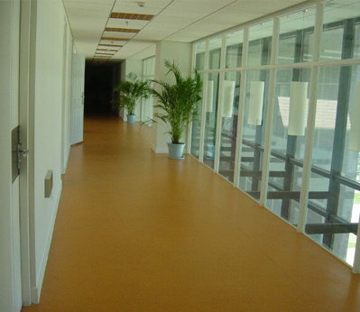 商業橡膠地板實例001 商業橡膠地板實例001