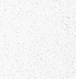 威孚防靜電地板001 威孚防靜電地板001